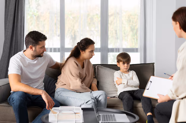 Family Lawyer